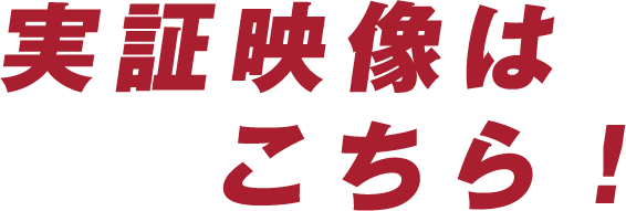 実証映像はこちら!