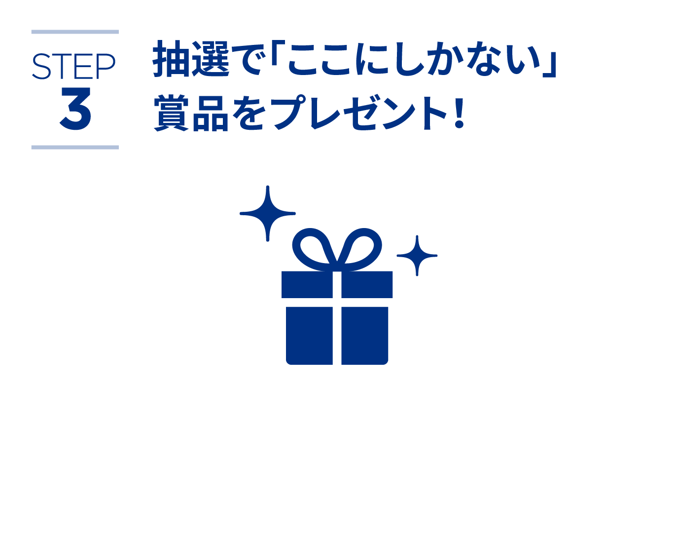 STEP3抽選で「ここにしかない」賞品をプレゼント!