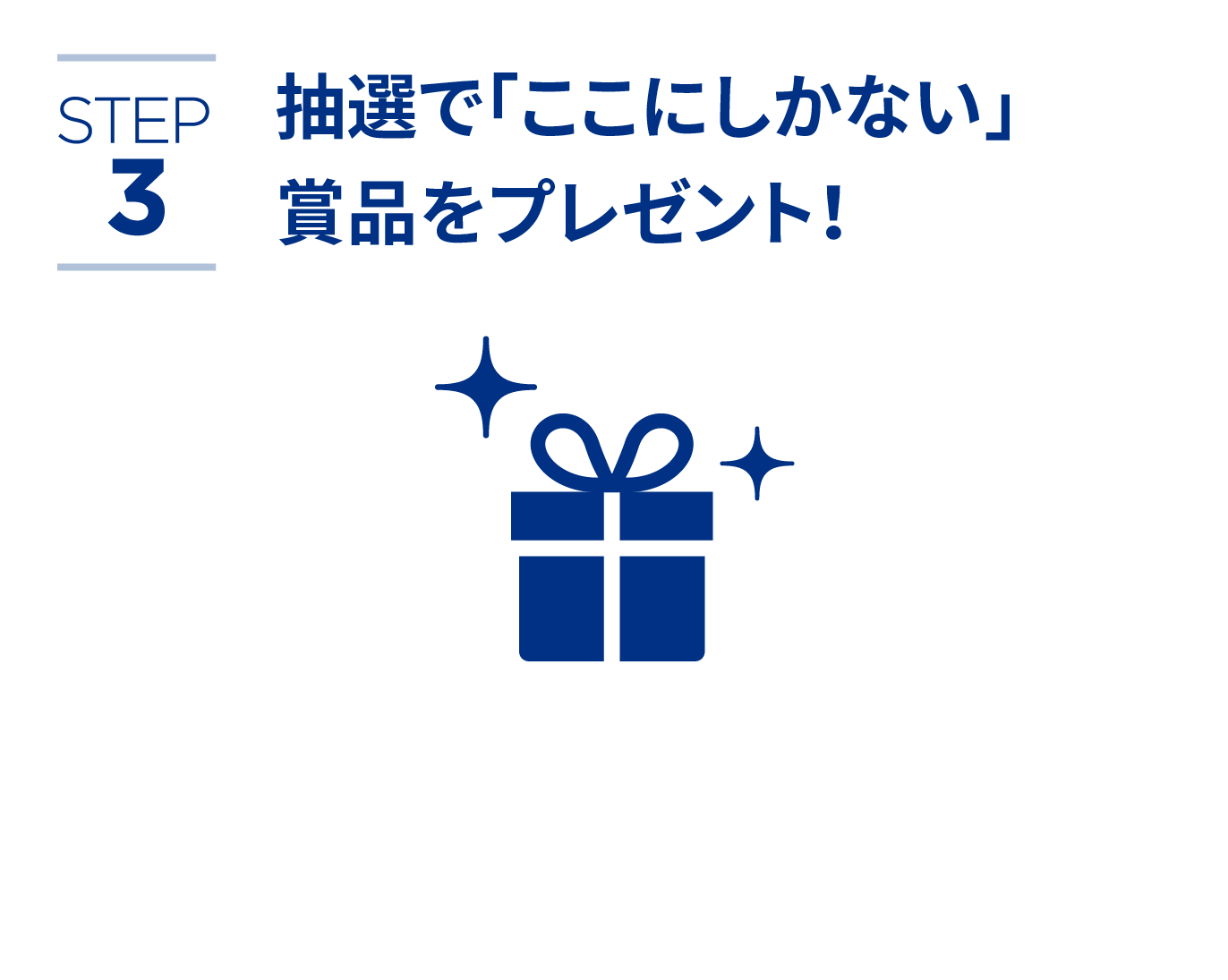 STEP3抽選で「ここにしかない」賞品をプレゼント!