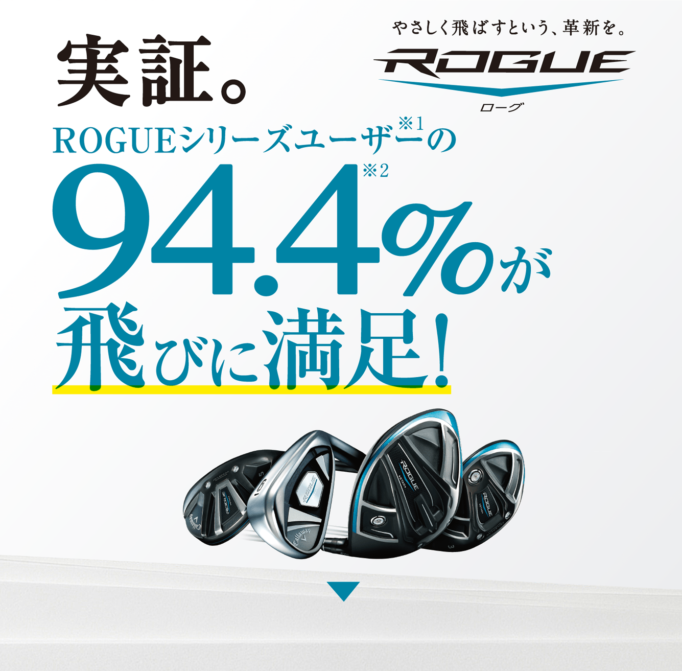 実証。ROGUEシリーズユーザーの94.4%が飛びに満足！