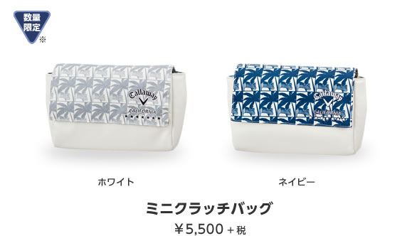 ミニクラッチバッグ ￥5,500＋税